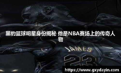 jrs无插件免费在线观看